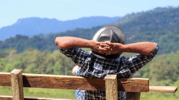 View of a man from the back sitting on a bench with arms resting behind his head as he looks out on a field of greenery and blue skies