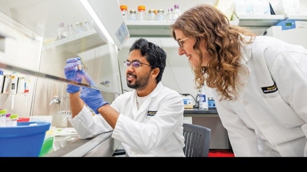 Two researchers working in lab
