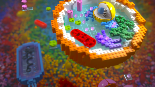 An illustration of the complexity of a single cell.