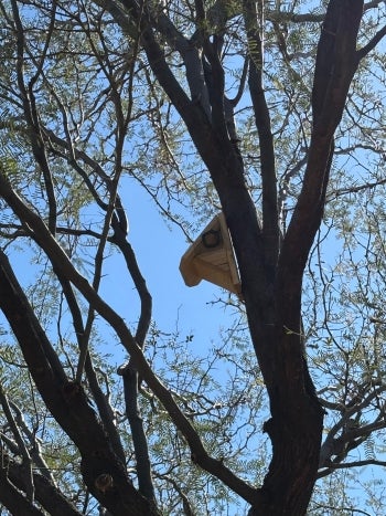 A nest box in a tree